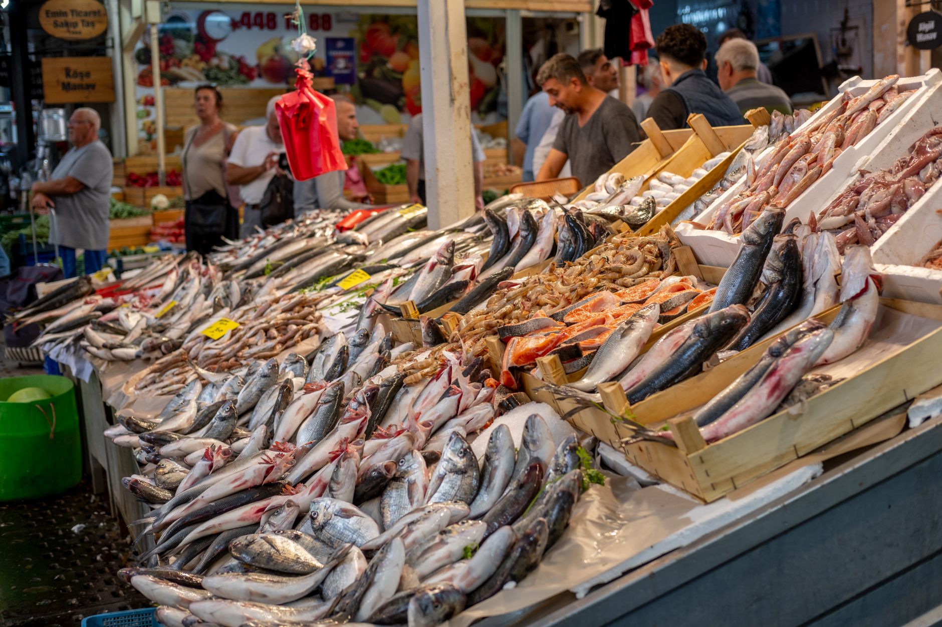 Eating Well in Southern Europe on €15 a Day Is Not a Fantasy