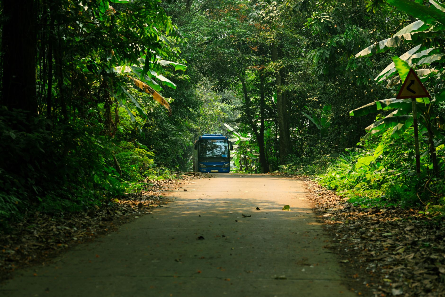 Overnight Buses in Southeast Asia Are Uncomfortable on Purpose - Book Them Anyway