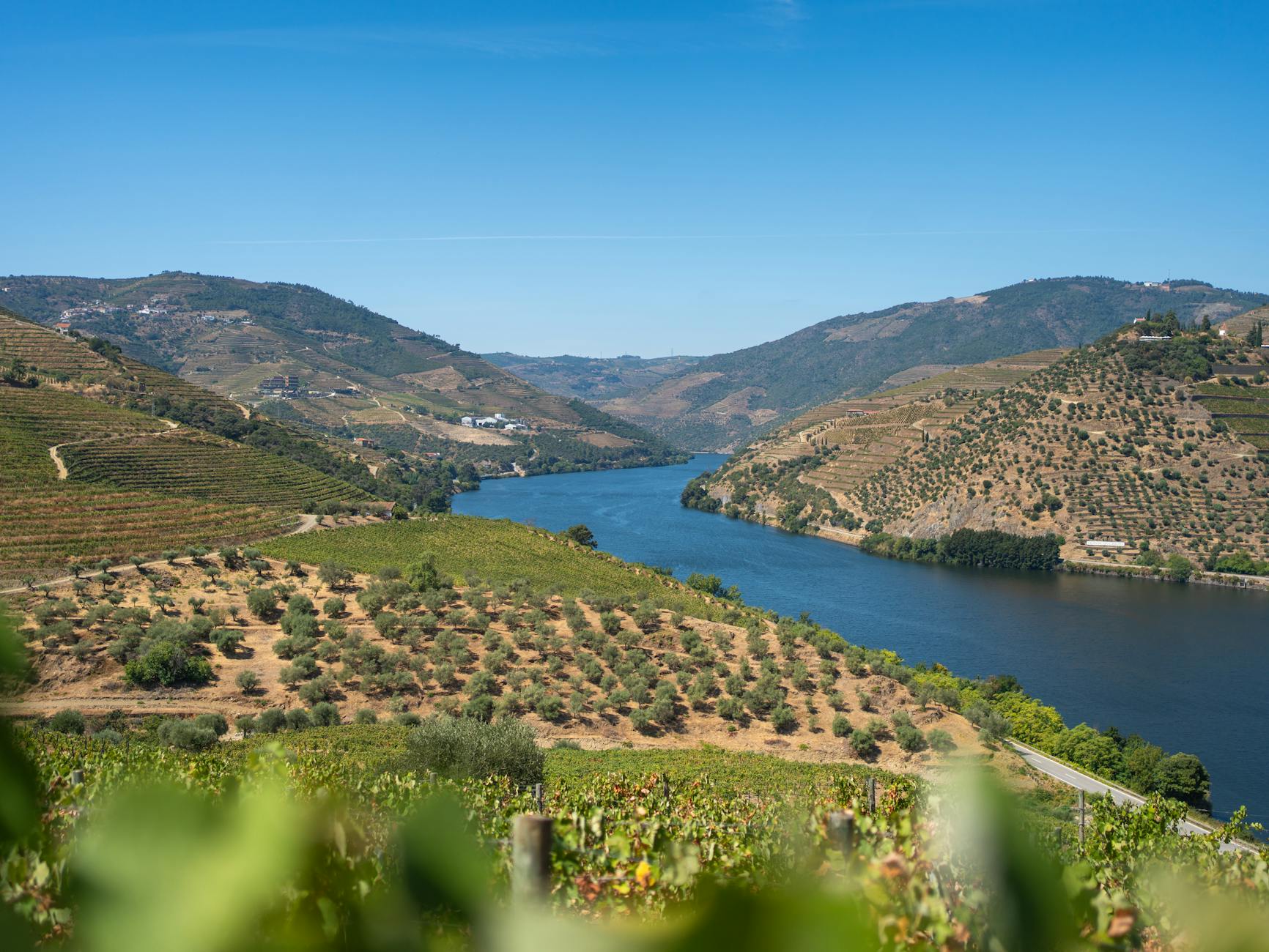 The Douro Valley by Train Is Better Than by Boat — If You Know Which Train
