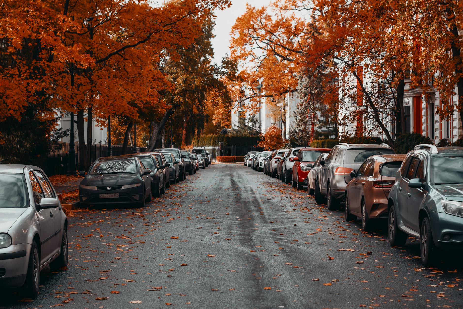 Why Renting a Car Changes How You Experience Dubai